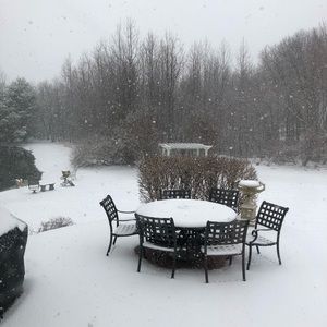 Meet your Posher, Arlene